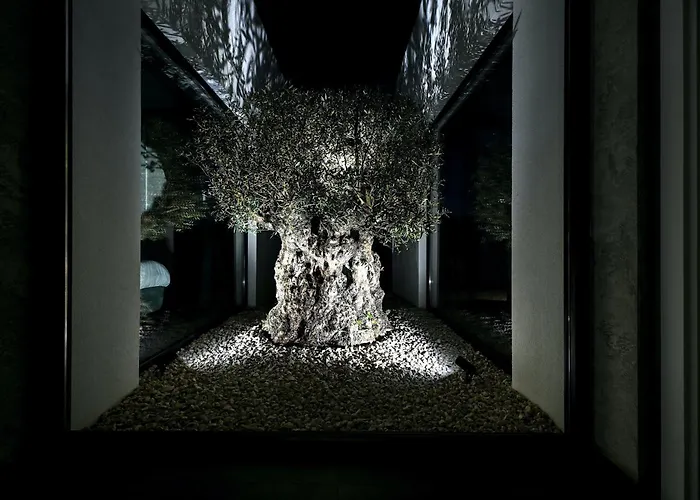 Vila Residencia De Boccagni *