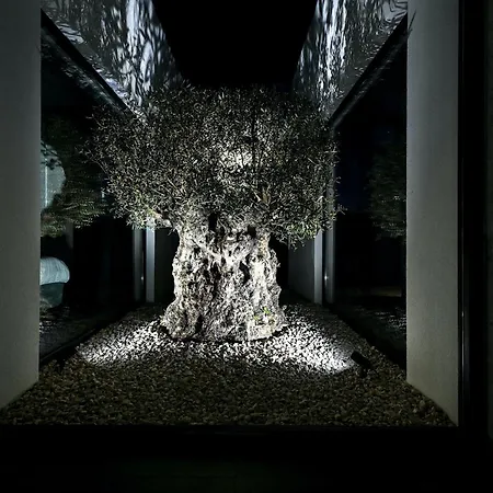 빌라 Residencia De Boccagni *